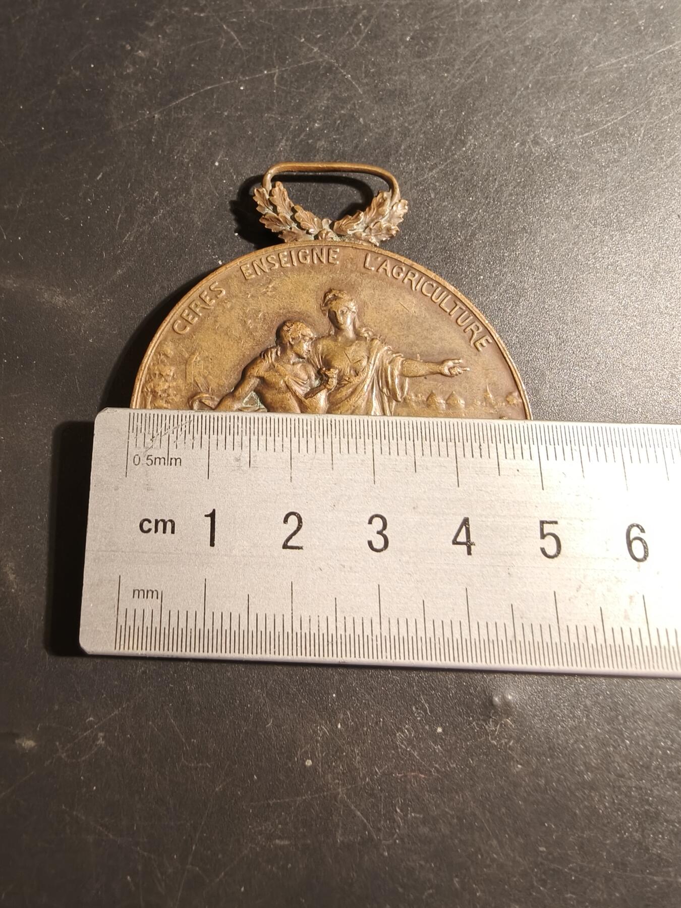 老王徽章第178期 法国卢瓦尔农业、工业、科学、艺术和文学协会大尺寸铜奖章    直径50mm    重量66g     大师亨利杜布瓦作品