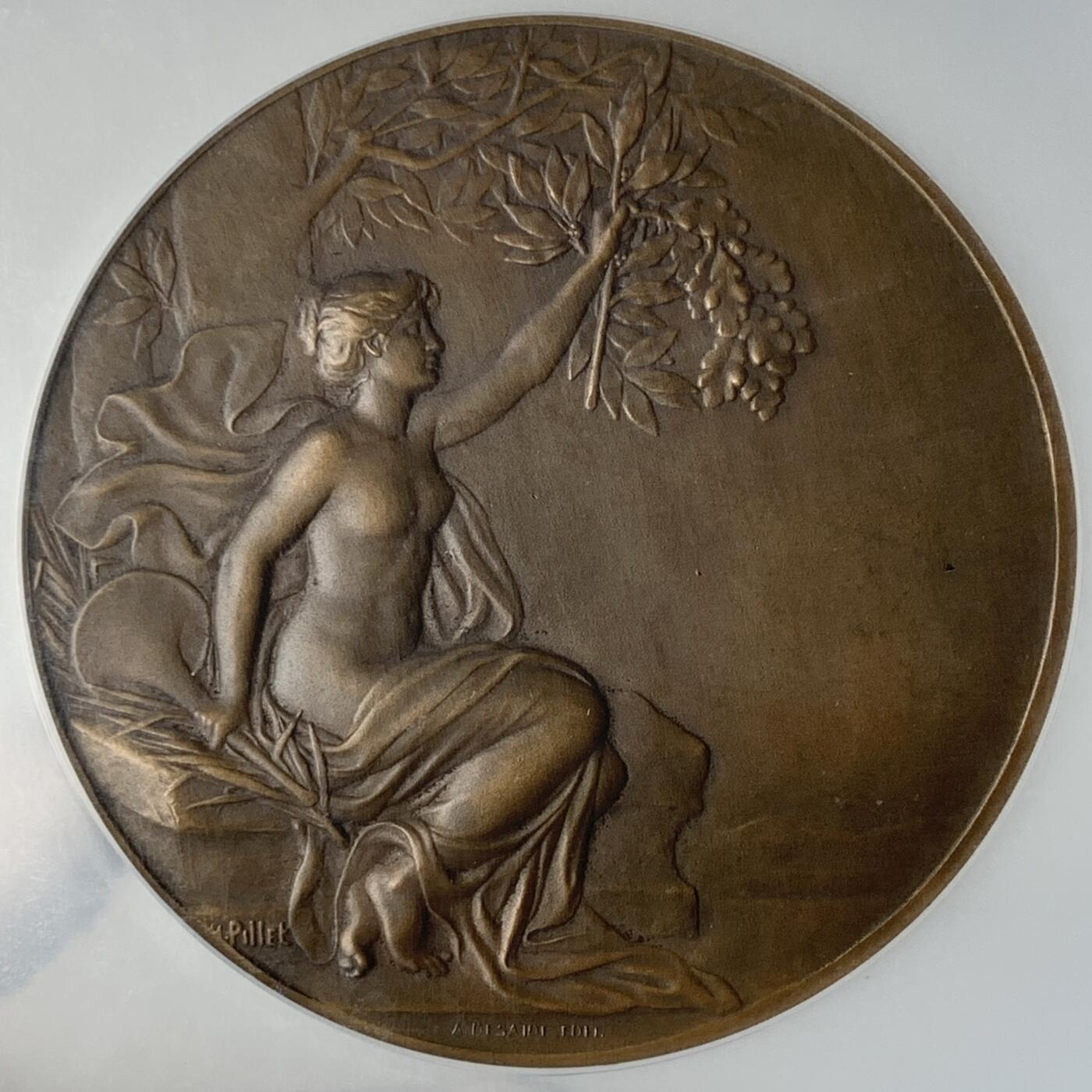 掌中浮雕-藏着的欧洲第050场 NGC MS63 : 1933年法国索邦大学女子教育协会铜章，59mm