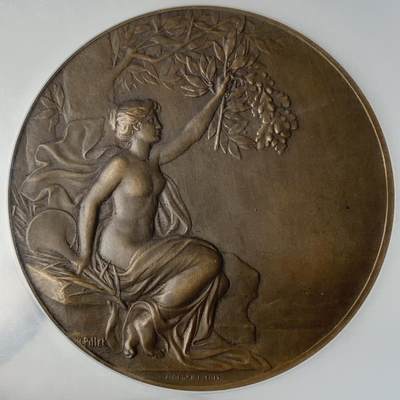 掌中浮雕-藏着的欧洲第050场 - NGC MS63 : 1933年法国索邦大学女子教育协会铜章，59mm