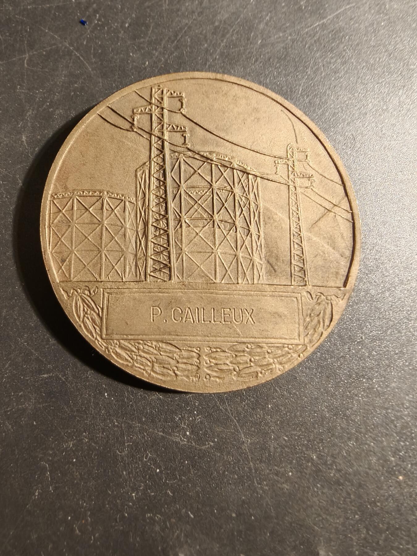 老王徽章第178期 法国电气公司大铜章   大师Dropsy作品    直径54mm    重量72.2g