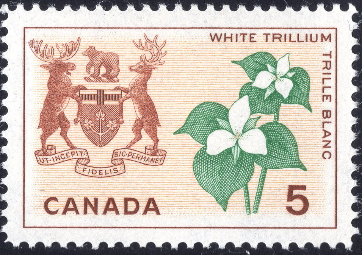 洪涛臻品批发群 精选邮票限时拍卖第1235期 