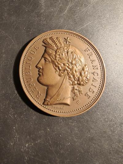 老王徽章第178期 - 法国罗讷河口省议会大铜章     直径50mm    重量74.2g