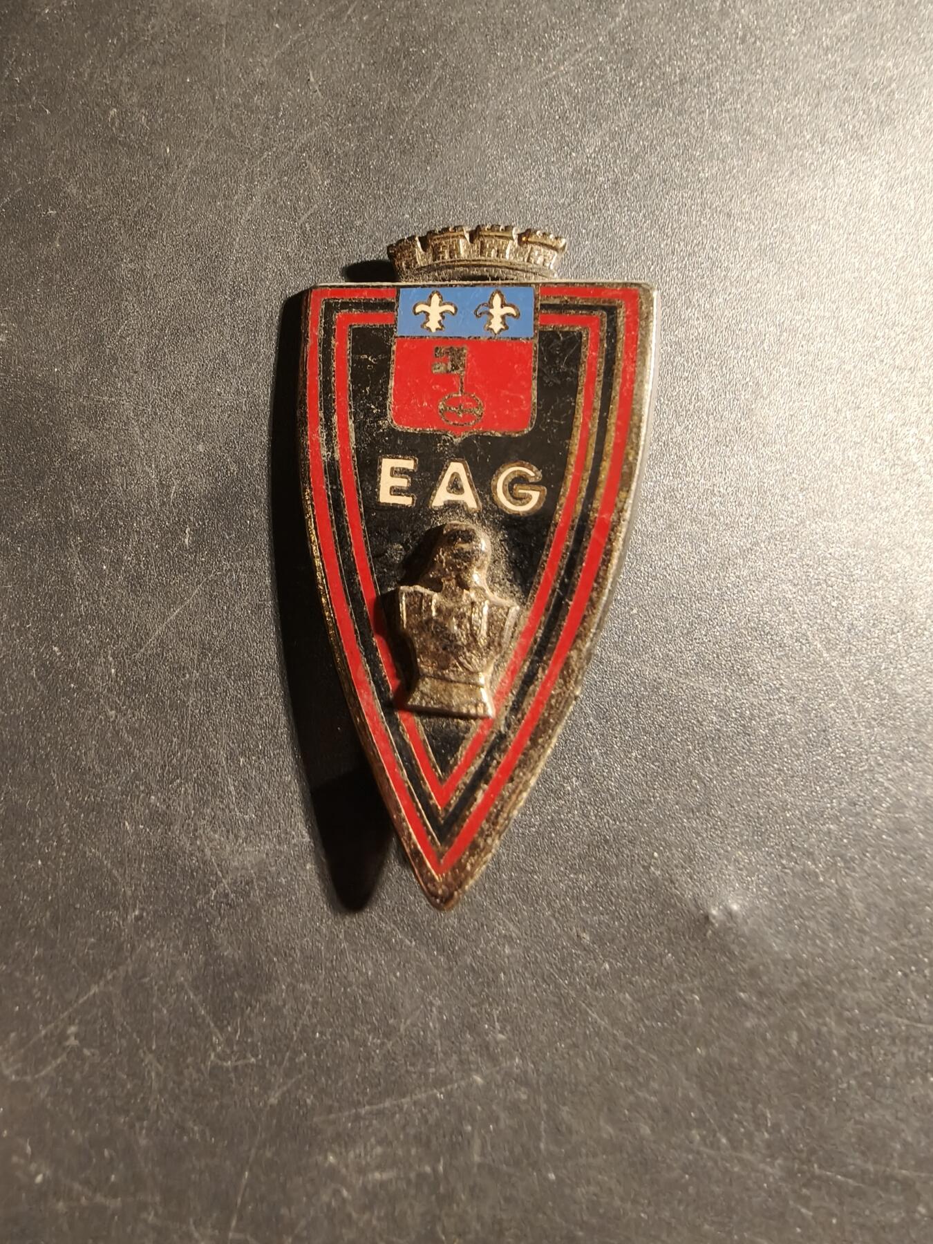 老王徽章第178期 法国外籍军团圭亚那工兵学校证章