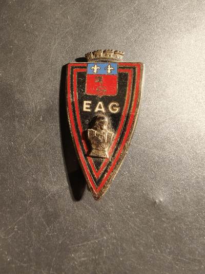 老王徽章第178期 - 法国外籍军团圭亚那工兵学校证章