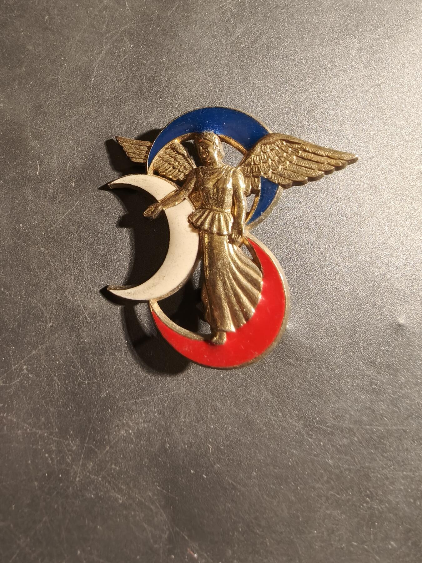 老王徽章第178期 法国陆军第3阿尔及利亚步兵师(后来改编为第3装甲师)证章