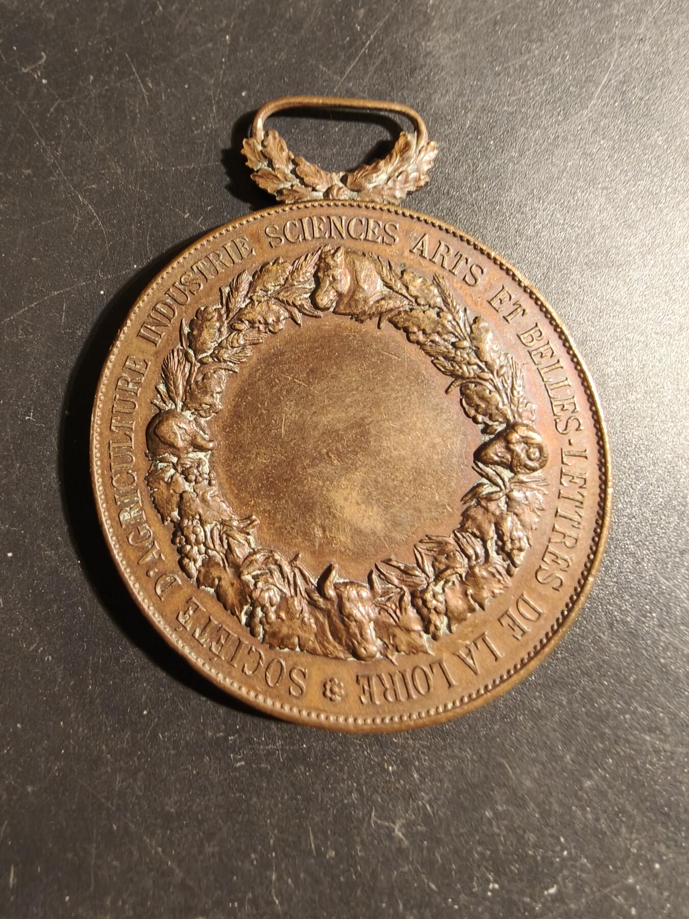 老王徽章第178期 法国卢瓦尔农业、工业、科学、艺术和文学协会大尺寸铜奖章    直径50mm    重量66g     大师亨利杜布瓦作品