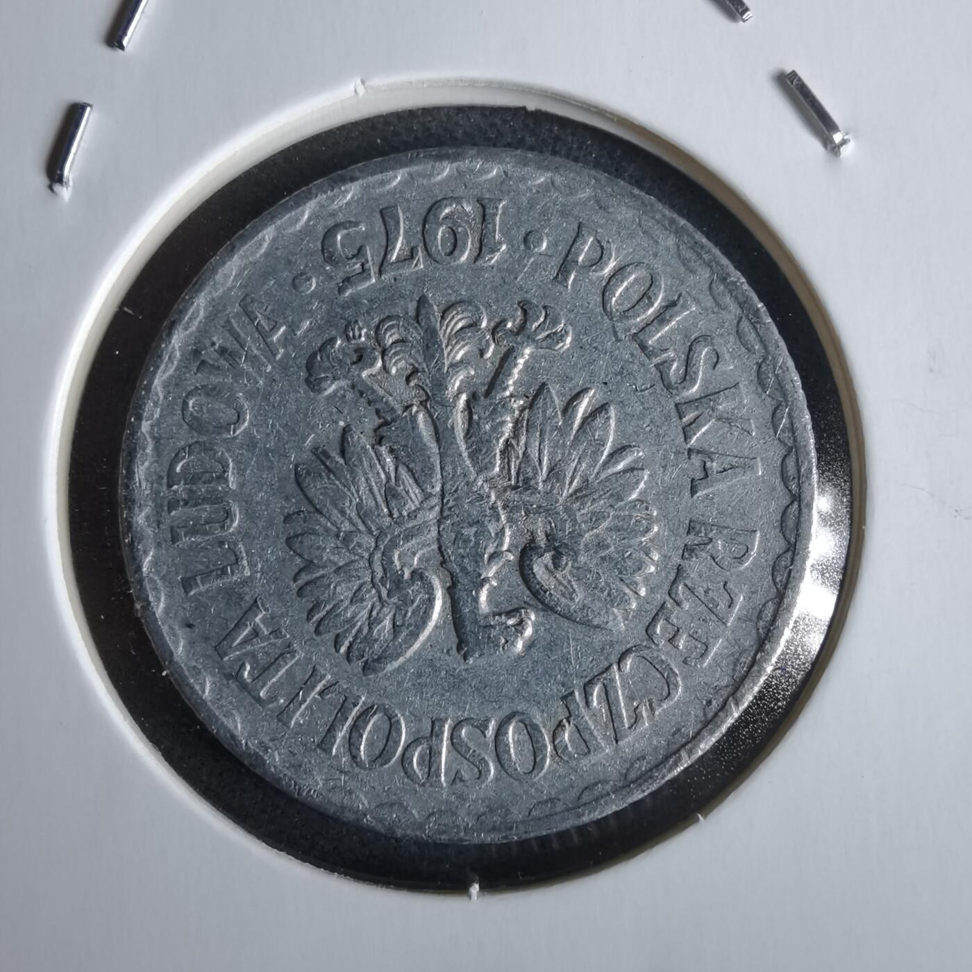 沼泽如烟--第968场