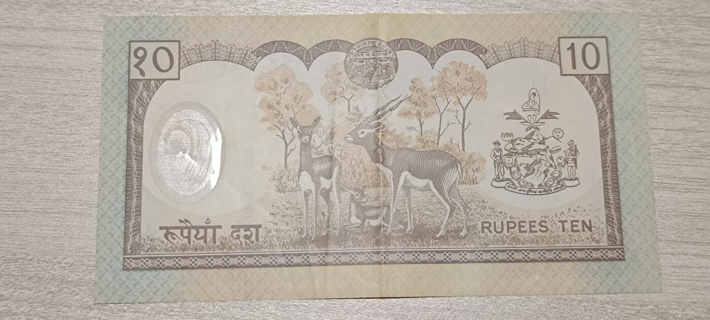 万国钱币阁第七场