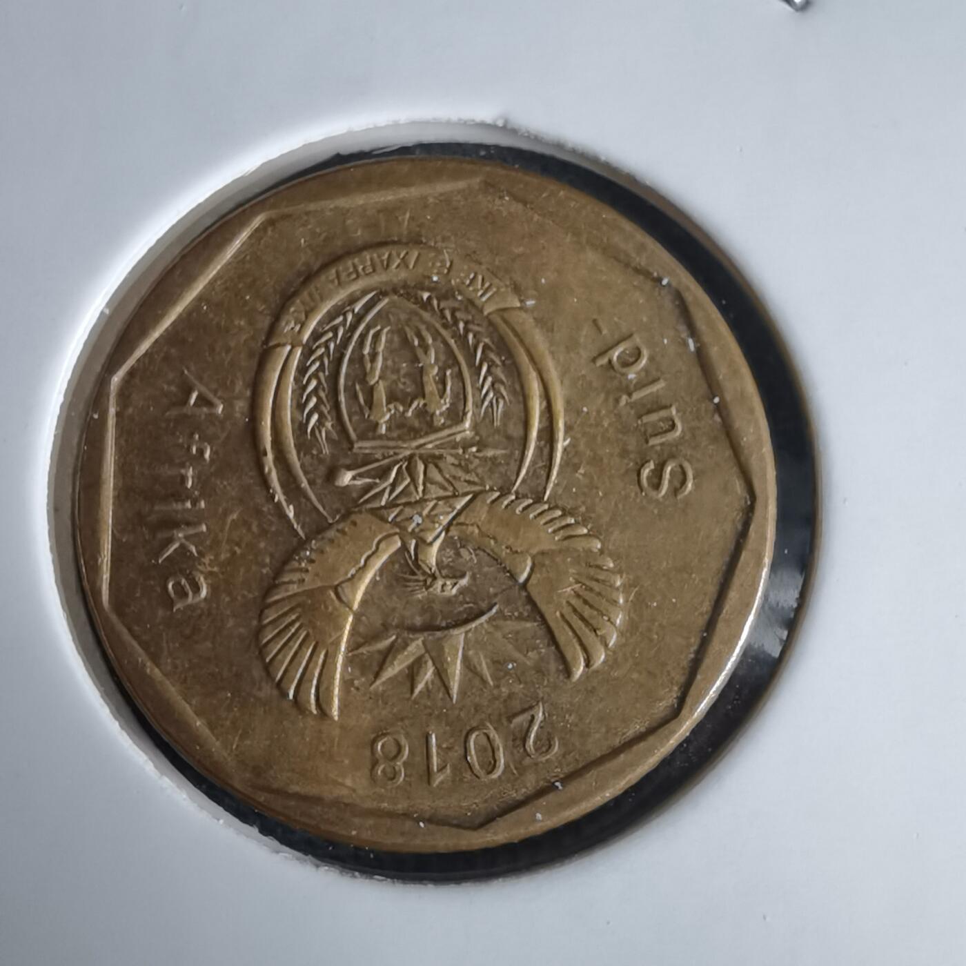 沼泽如烟--第969场 南非2018年20分