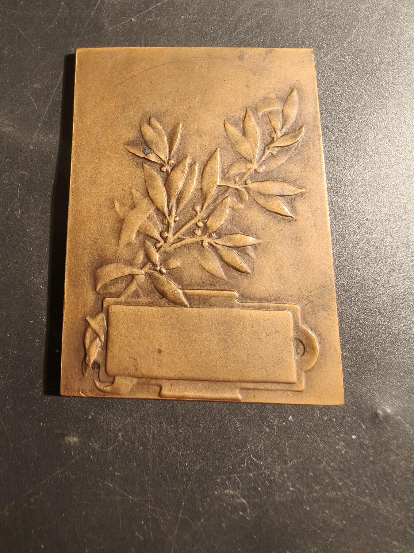 老王徽章第178期 法国“和平寓言”主题方形大铜章     一手持盾一手执剑的女性在保护一位小孩      大师皮列作品     尺寸50×68mm    重量88.5g