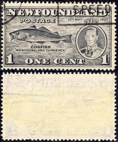 洪涛臻品批发群 精选邮票限时拍卖第1235期  - 加拿大老票-英属地纽芬兰特产 鳕鱼