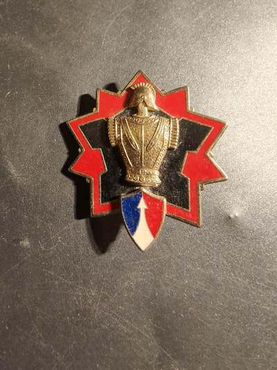 老王徽章第178期 - 法国陆军工程兵部队里昂工程局证章