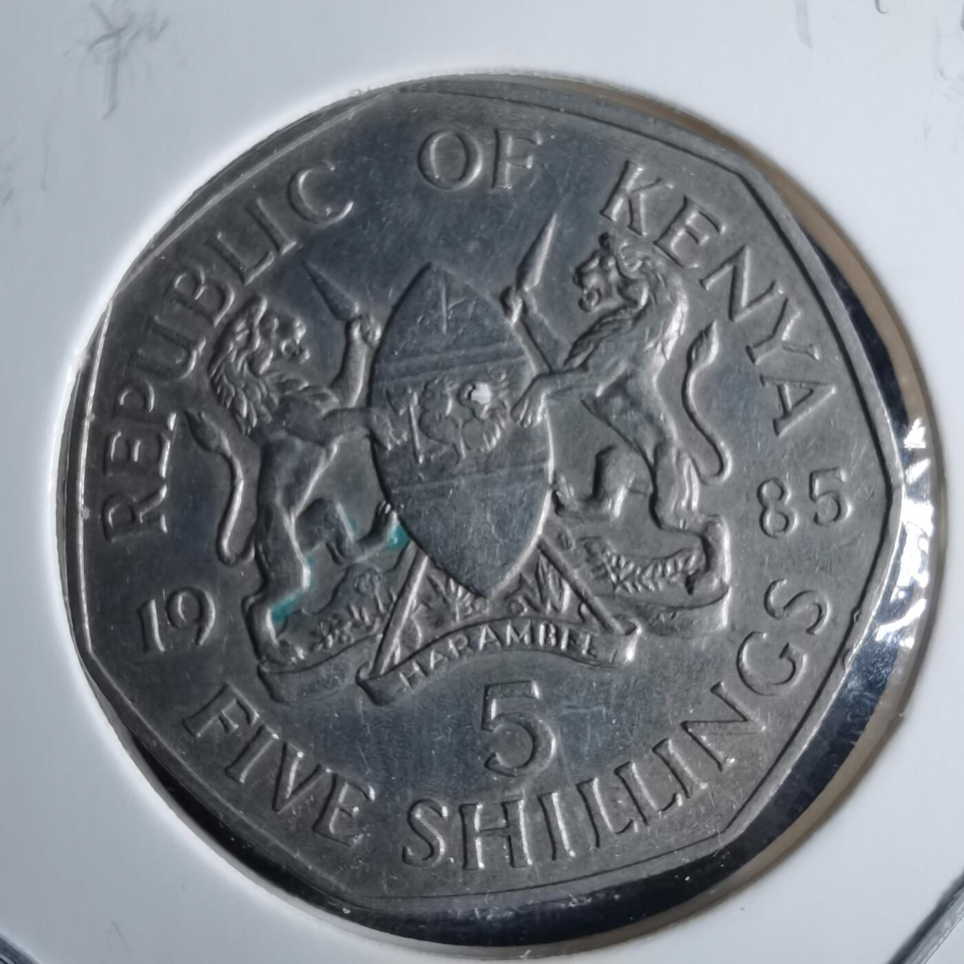 沼泽如烟--第970场