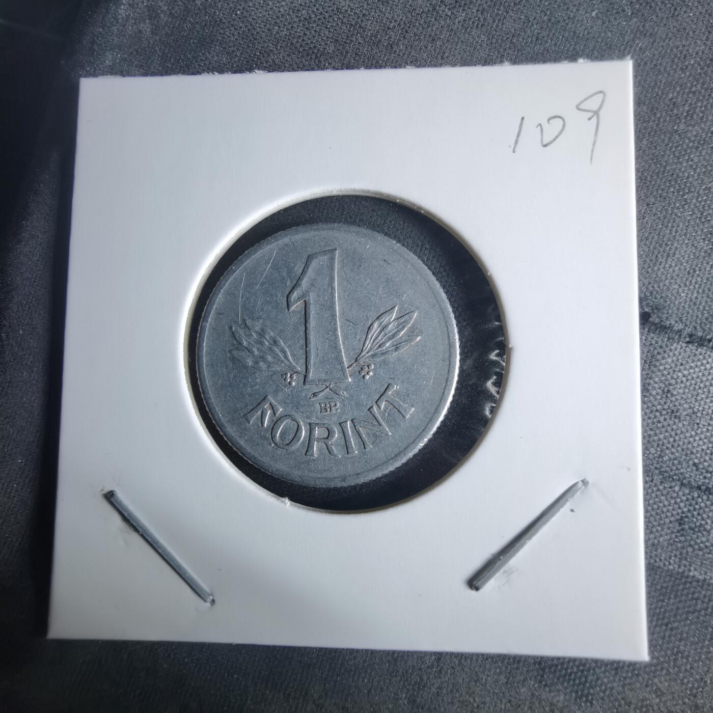 沼泽如烟--第970场