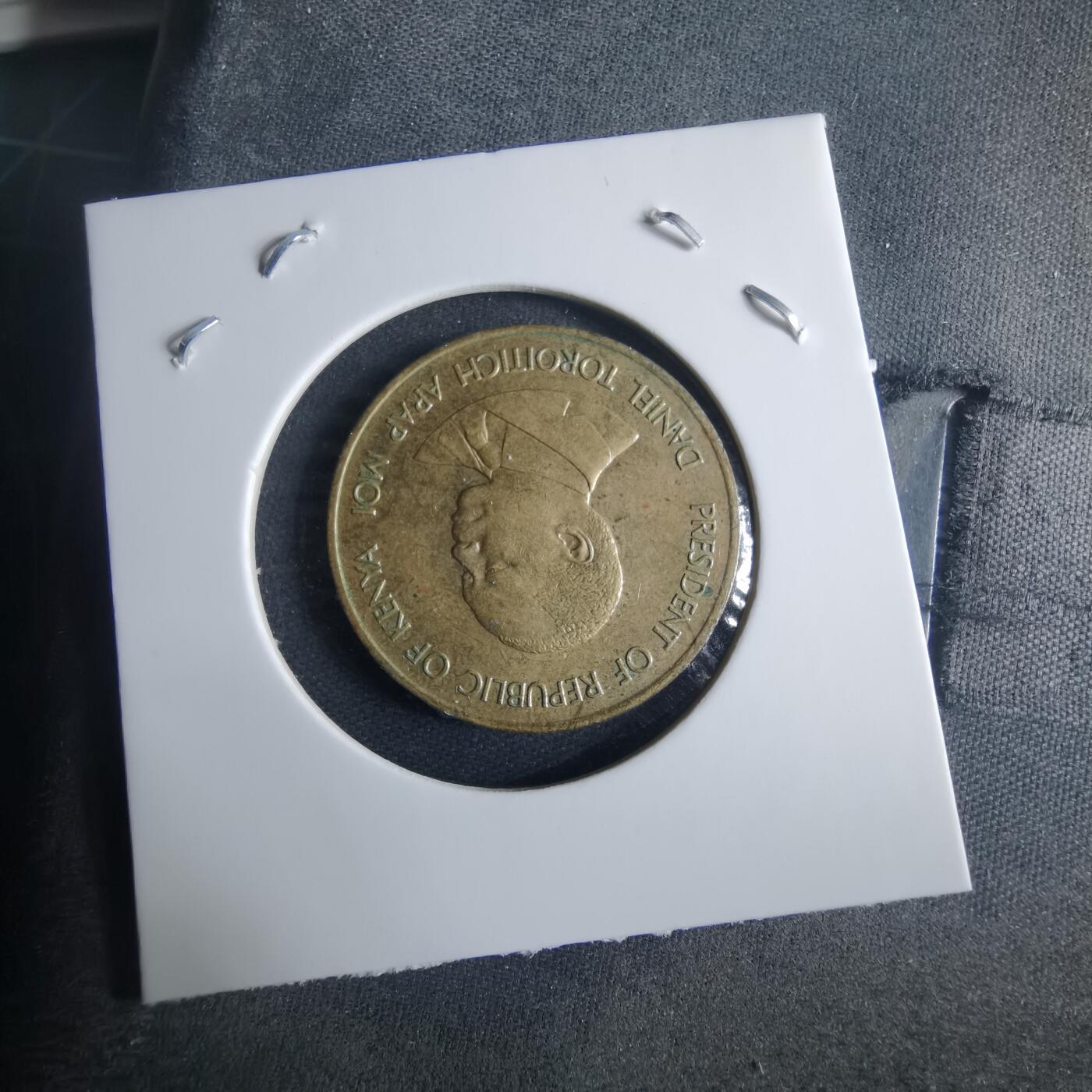 沼泽如烟--第970场