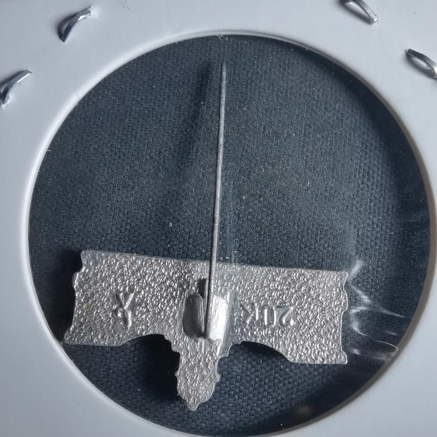 沼泽如烟--第970场 胸针？