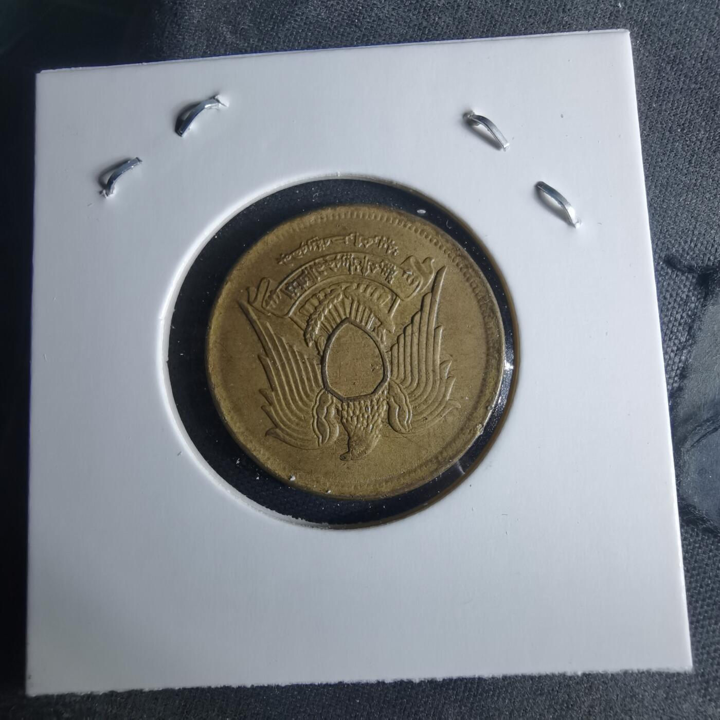 沼泽如烟--第970场