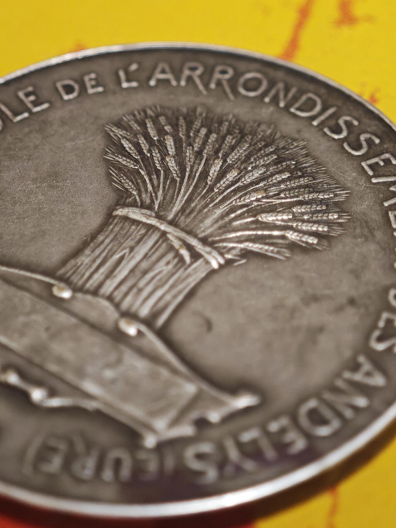 橙子收藏第一期 法国厄尔省莱桑迪丽区农业镀银铜章 直径41毫米，重量32.2克