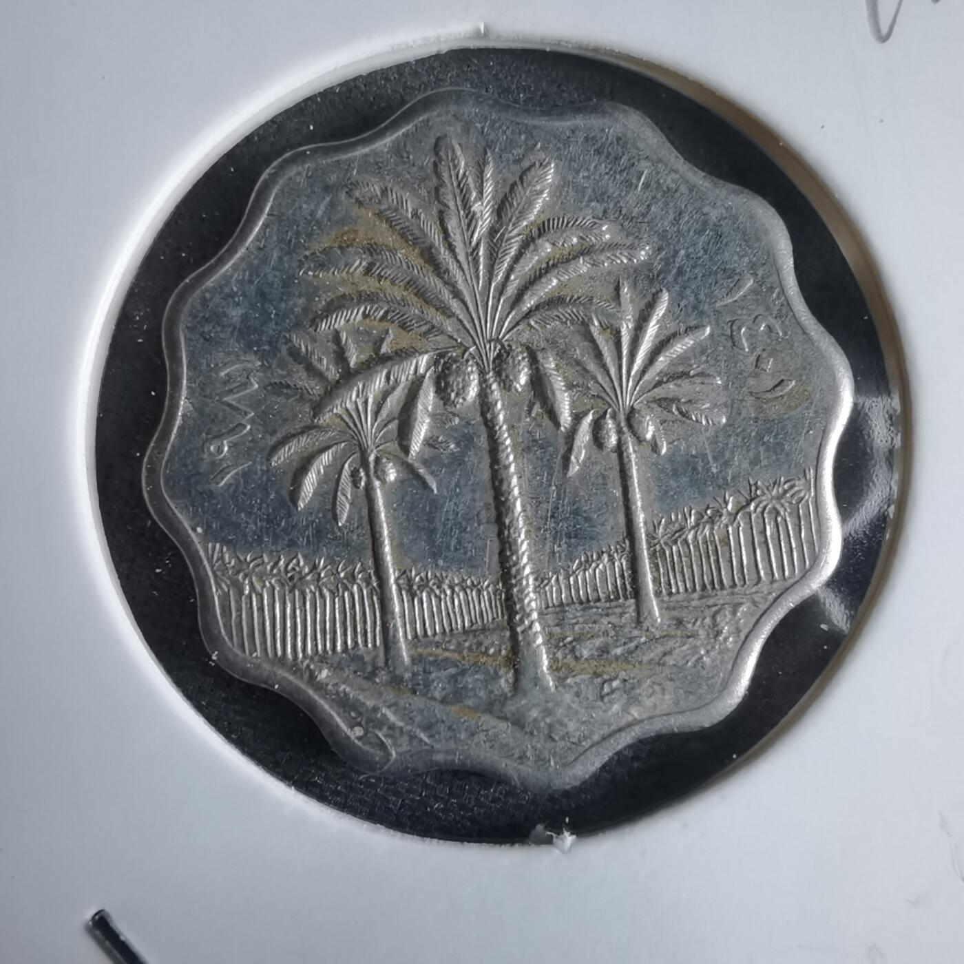 沼泽如烟--第969场 伊拉克