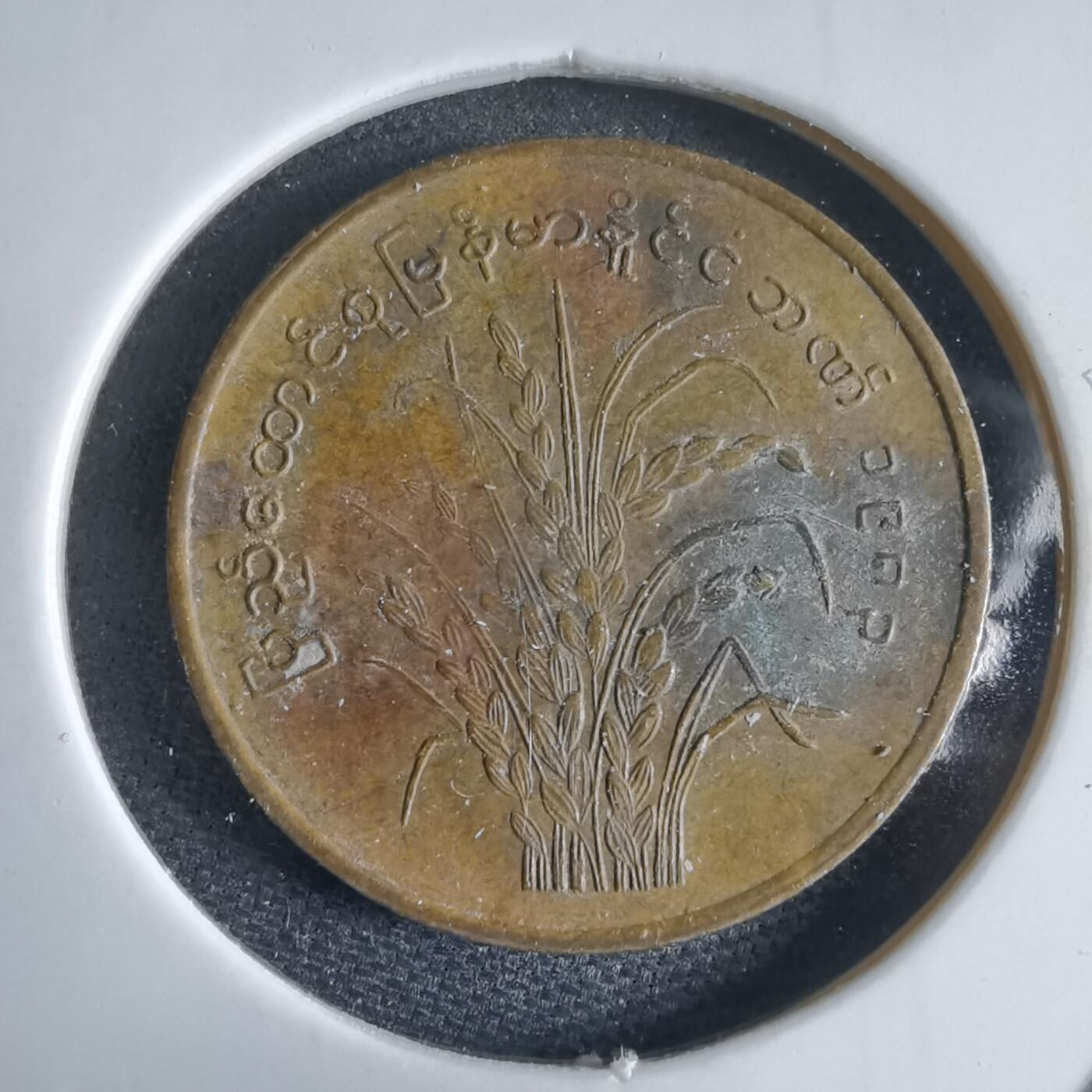 沼泽如烟--第969场 缅甸