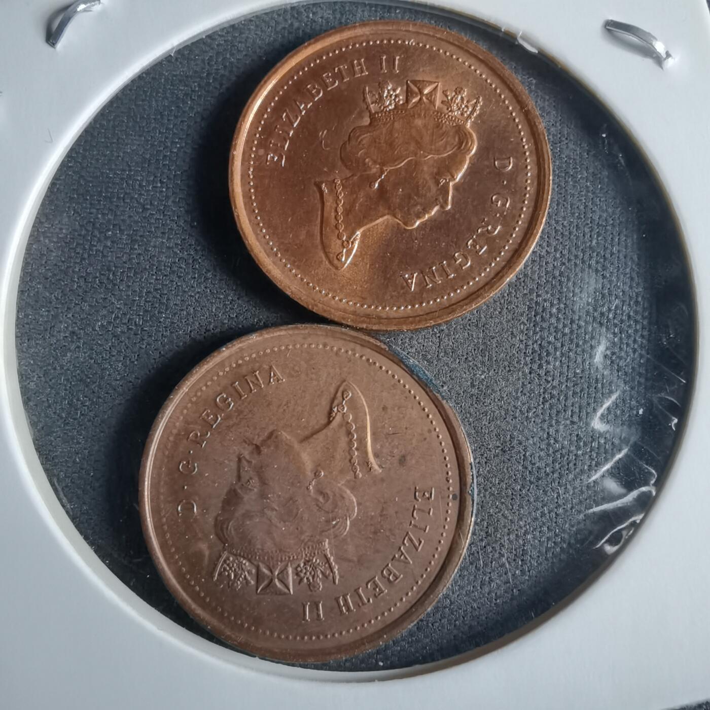 沼泽如烟--第970场