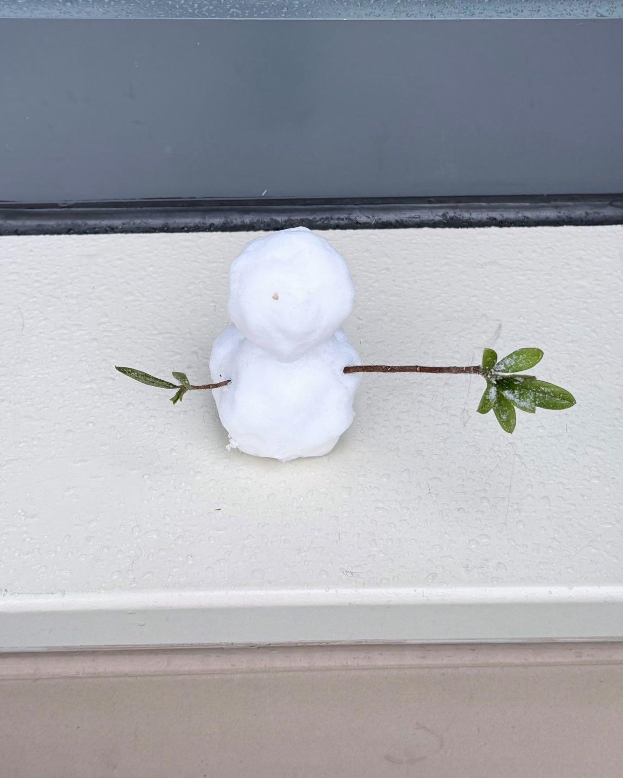 秋萤阁第43期 (1月23号周五晚上21点截拍，欢迎竞拍)  苏州初雪 1/1 雪王 无法复刻 限时臻品