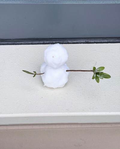 秋萤阁第43期 (1月23号周五晚上21点截拍，欢迎竞拍)  - 苏州初雪 1/1 雪王 无法复刻 限时臻品