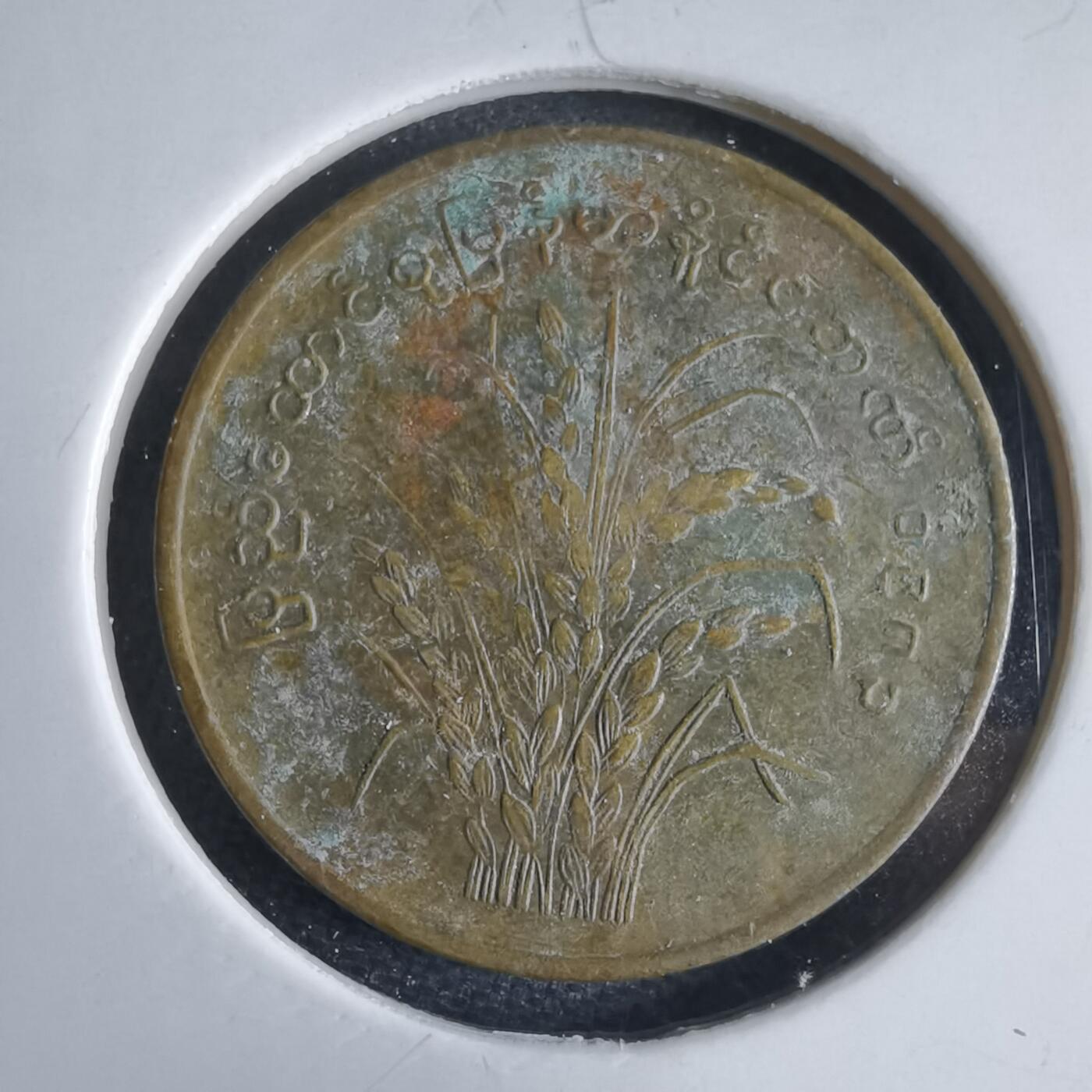 沼泽如烟--第969场 缅甸