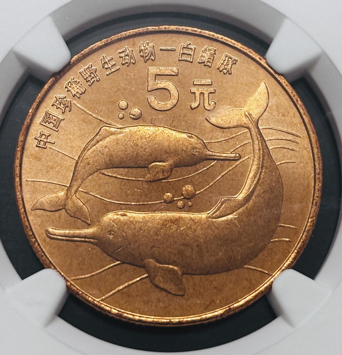 文馨钱币收藏 2026新年第四场（第 290 场）【长期接代拍品】 NGC 评级 MS66RD1996 年中国珍稀野生动物鮨豚，原铜光满状态