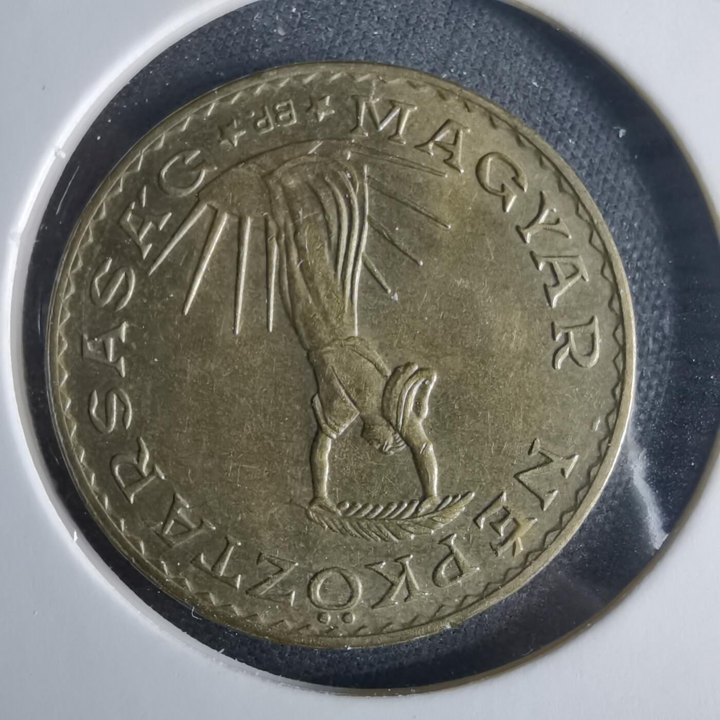 沼泽如烟--第970场