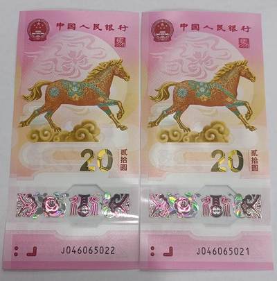 【游宝拍卖】乙巳蛇年第109期 周二集拍 - 生肖马年纪念钞【二连号 J046065021/22 全新UNC】