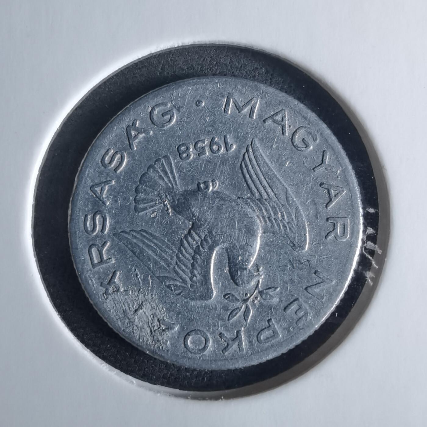 沼泽如烟--第970场