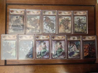 阳大大卡牌拍卖第95期（持续收拍品，周五晚上九点截拍，进群福利早知道） - 【炫彩10分套】焱卡文化 燎原三国 龙骧虎跃 巴丁 炫彩工艺全套11张  包含9张10分