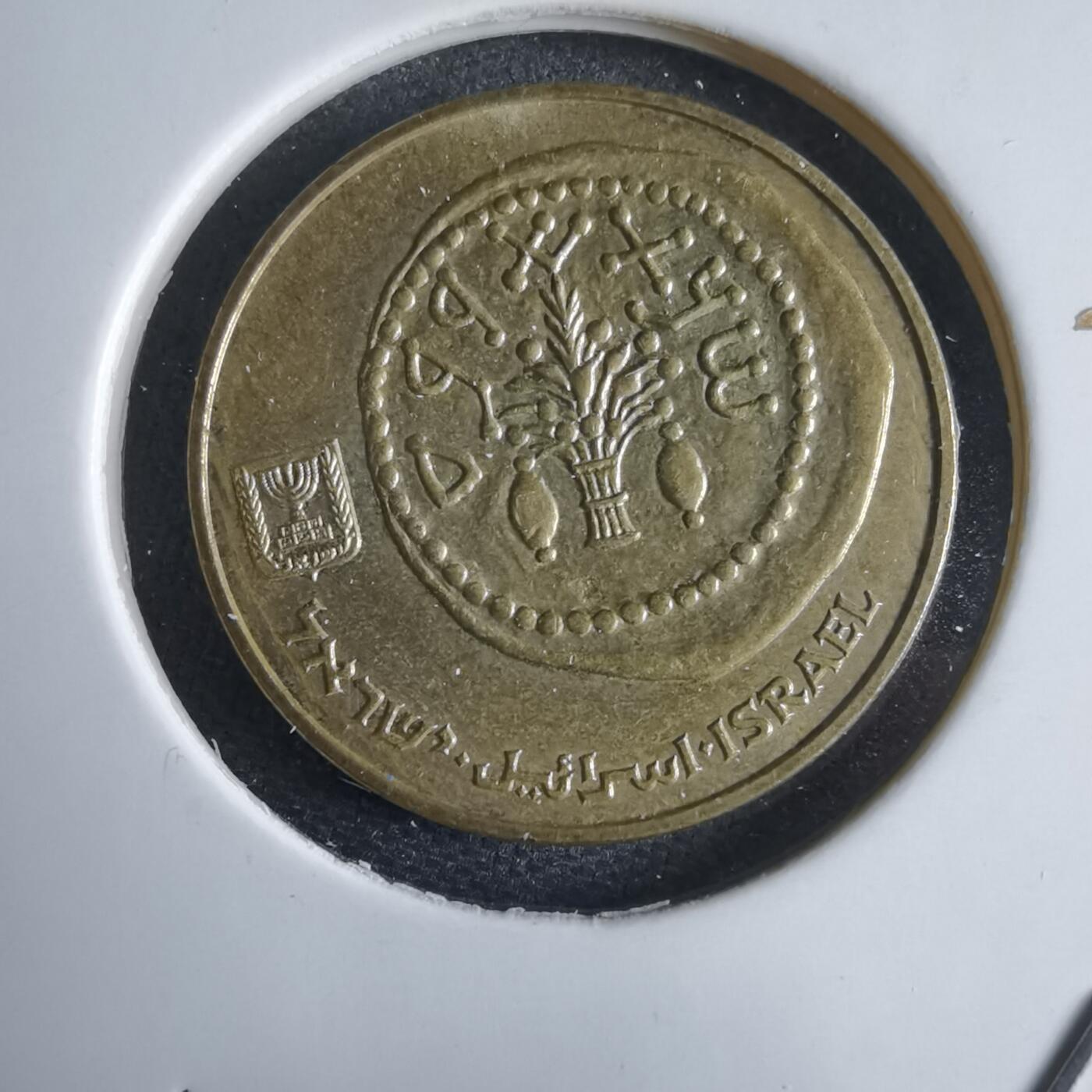 沼泽如烟--第969场