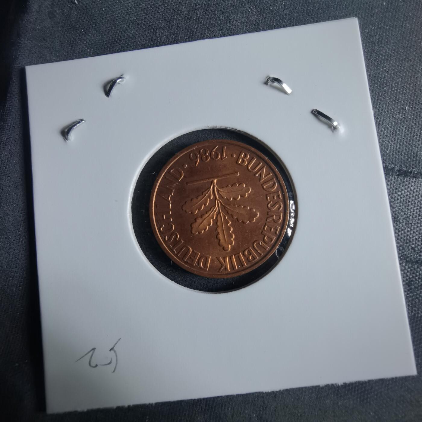 沼泽如烟--第970场