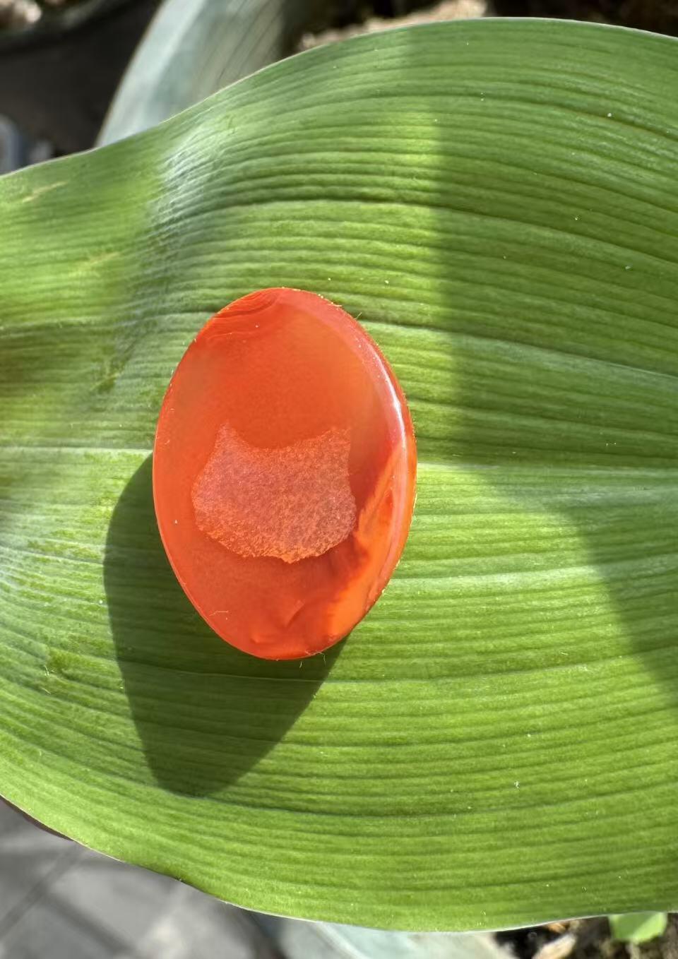 零元拍：南红玛瑙蛋面，都是十多年前的存货了，长约 22MM，宽约 16MM，厚约 5MMmm 