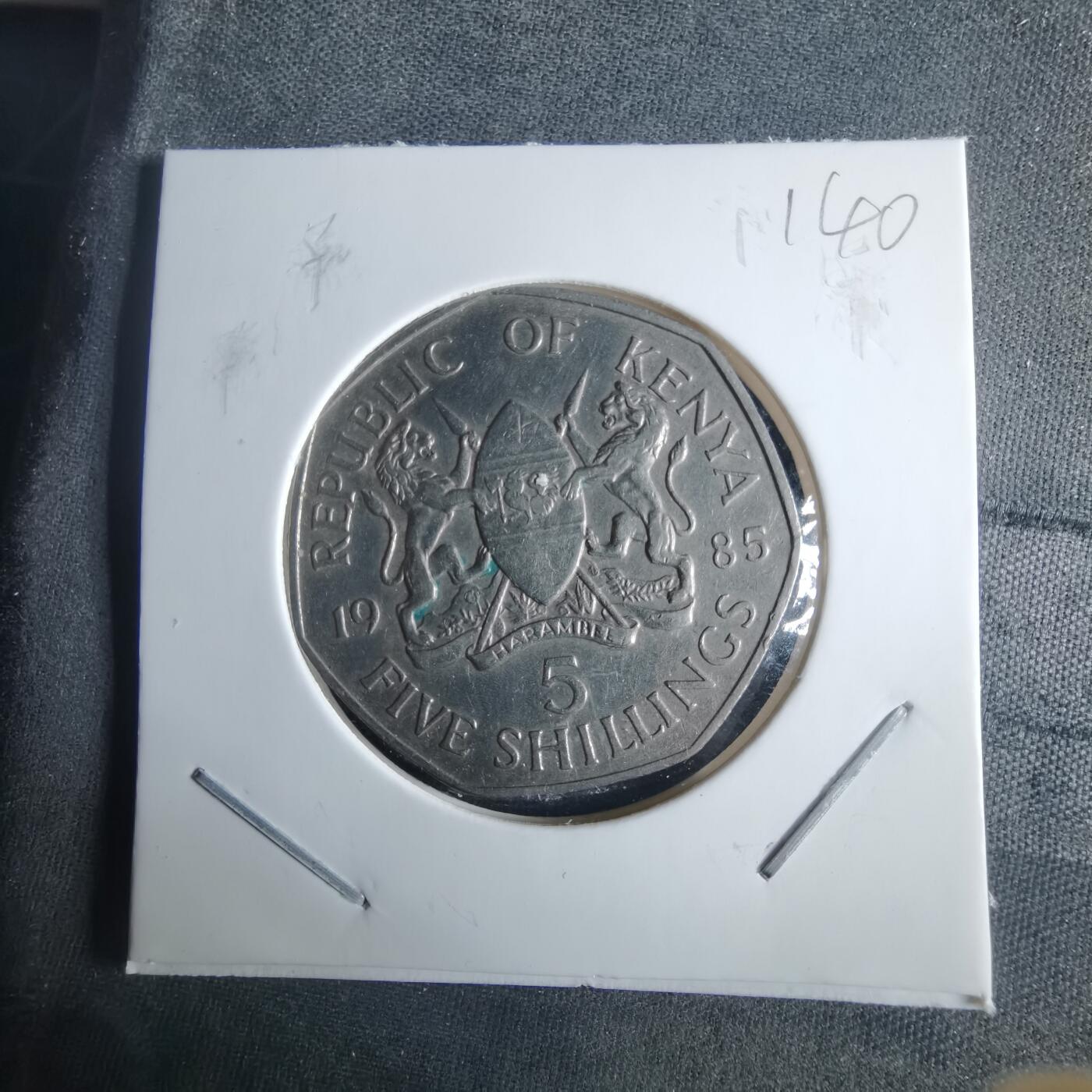 沼泽如烟--第970场