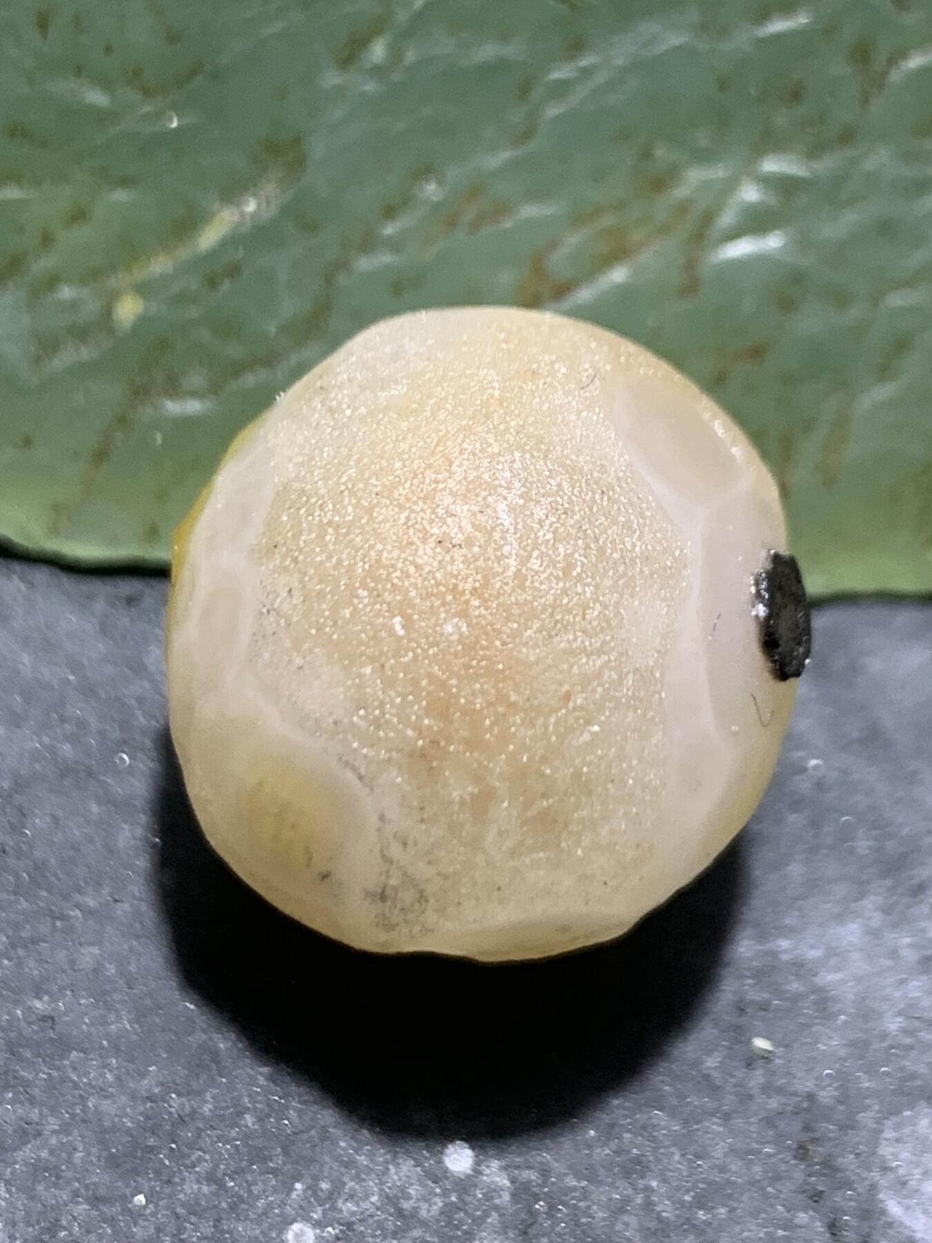 精美原皮冰飘风化纹气泡图案图案战国红玛瑙随形珠一个，