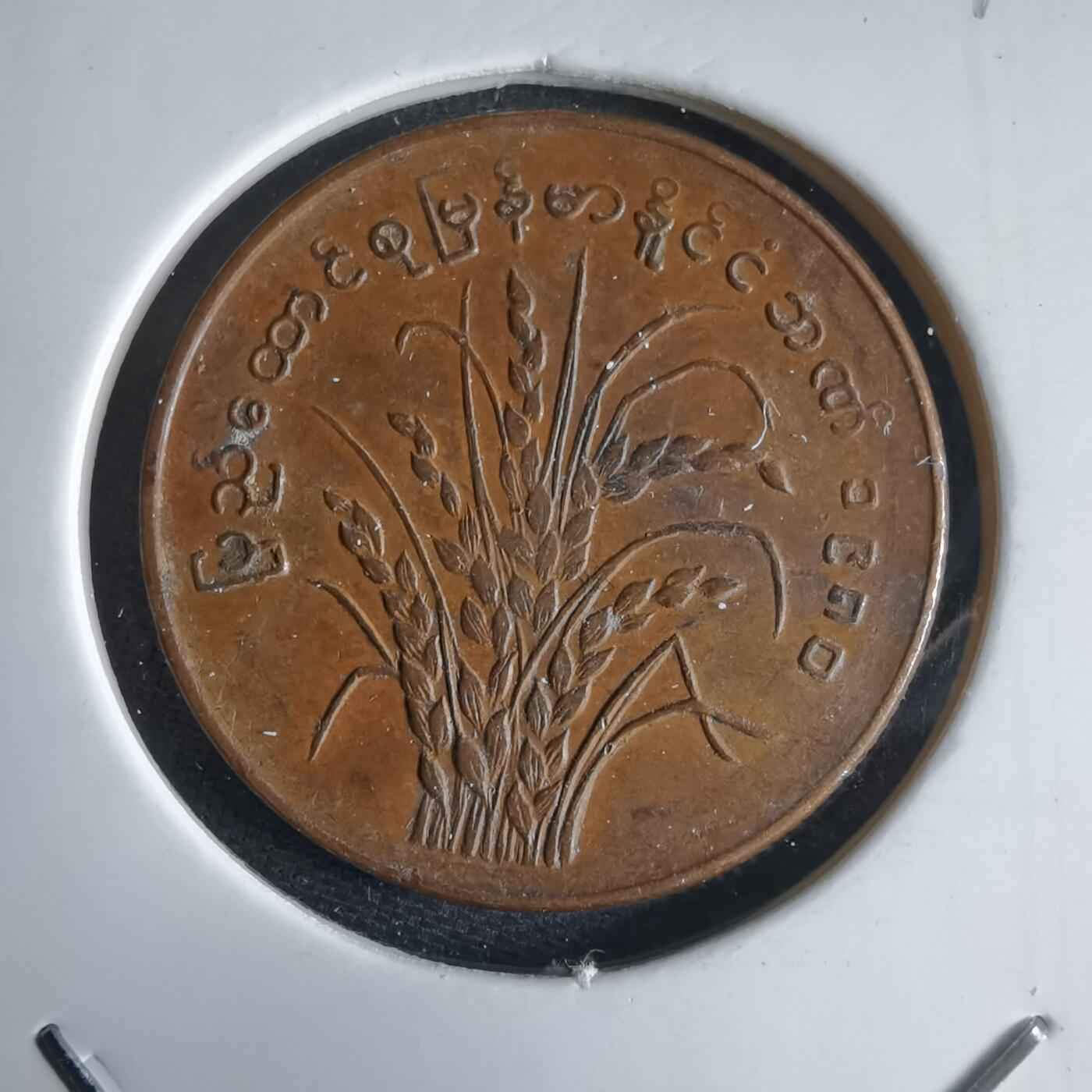 沼泽如烟--第969场 缅甸