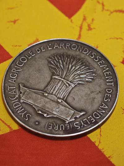 橙子收藏第一期 - 法国厄尔省莱桑迪丽区农业镀银铜章 直径41毫米，重量32.2克