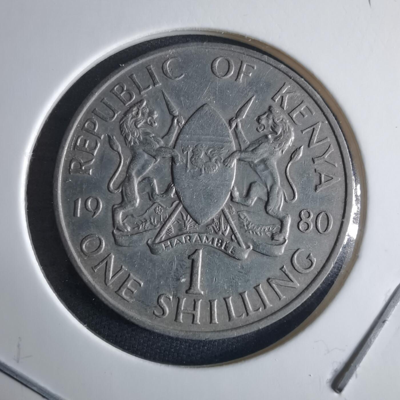 沼泽如烟--第970场