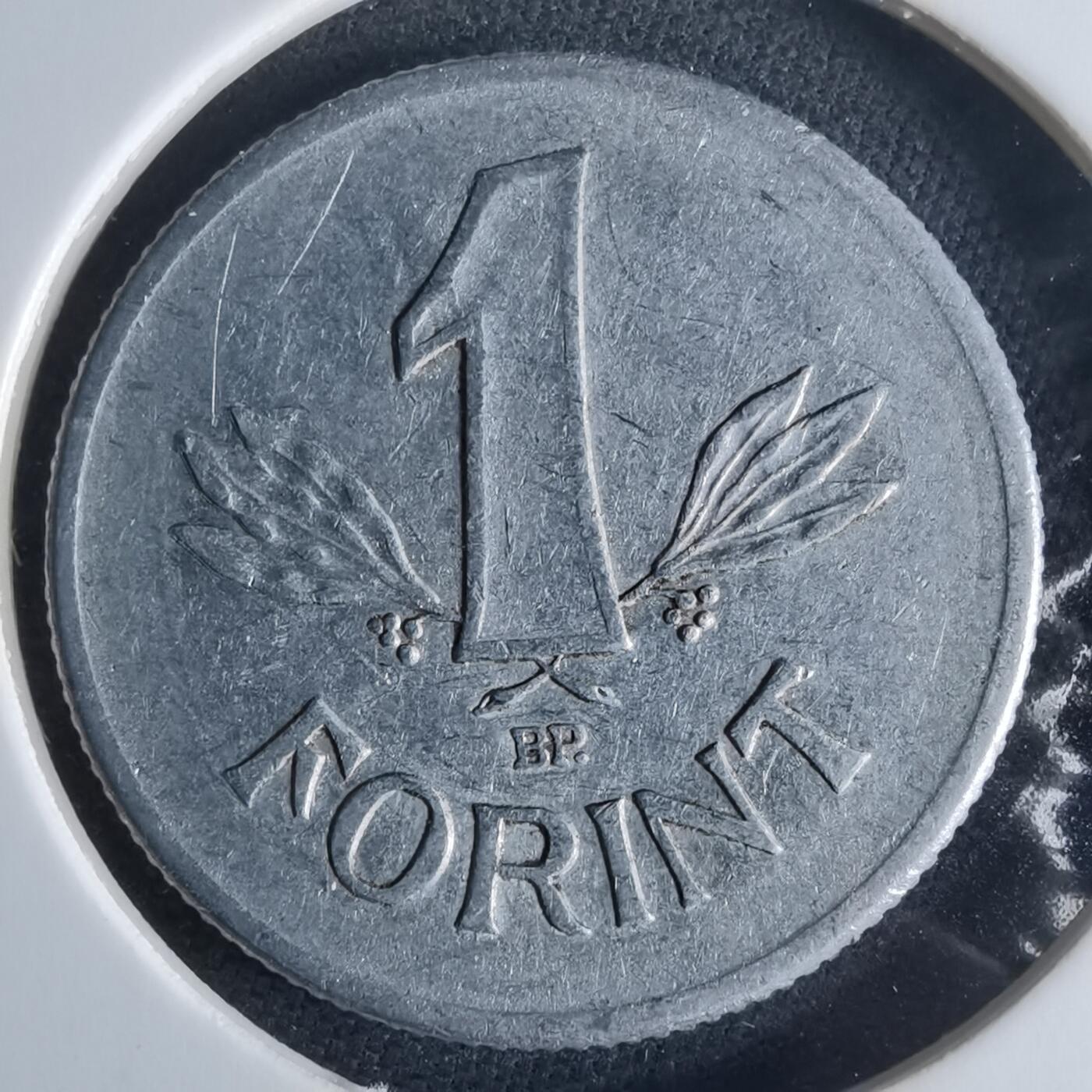 沼泽如烟--第970场