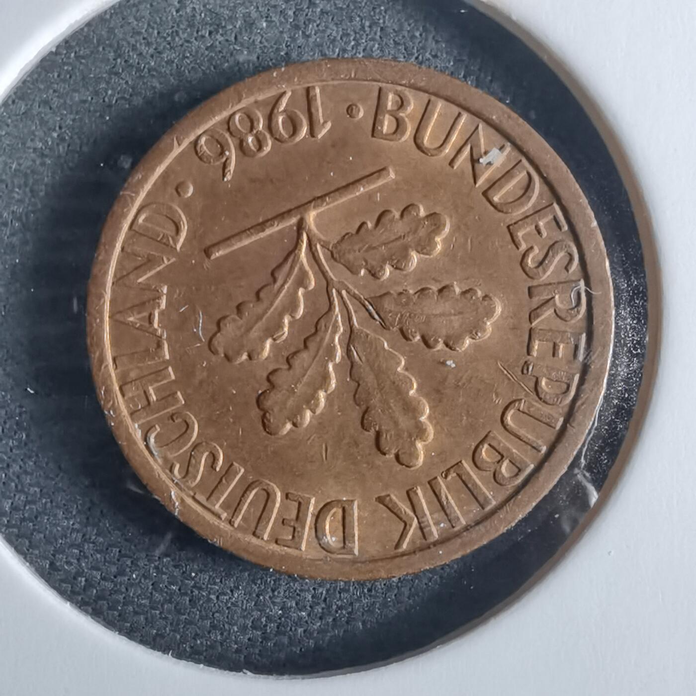 沼泽如烟--第970场