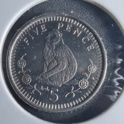 沼泽如烟--第970场 - 直布罗陀1996年5便士