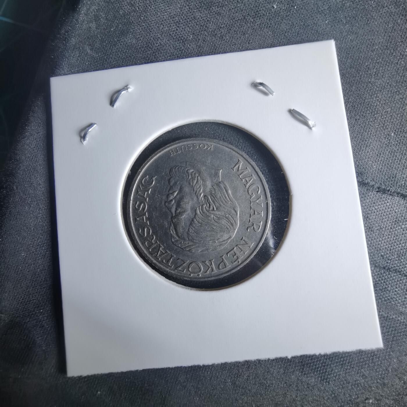 沼泽如烟--第970场