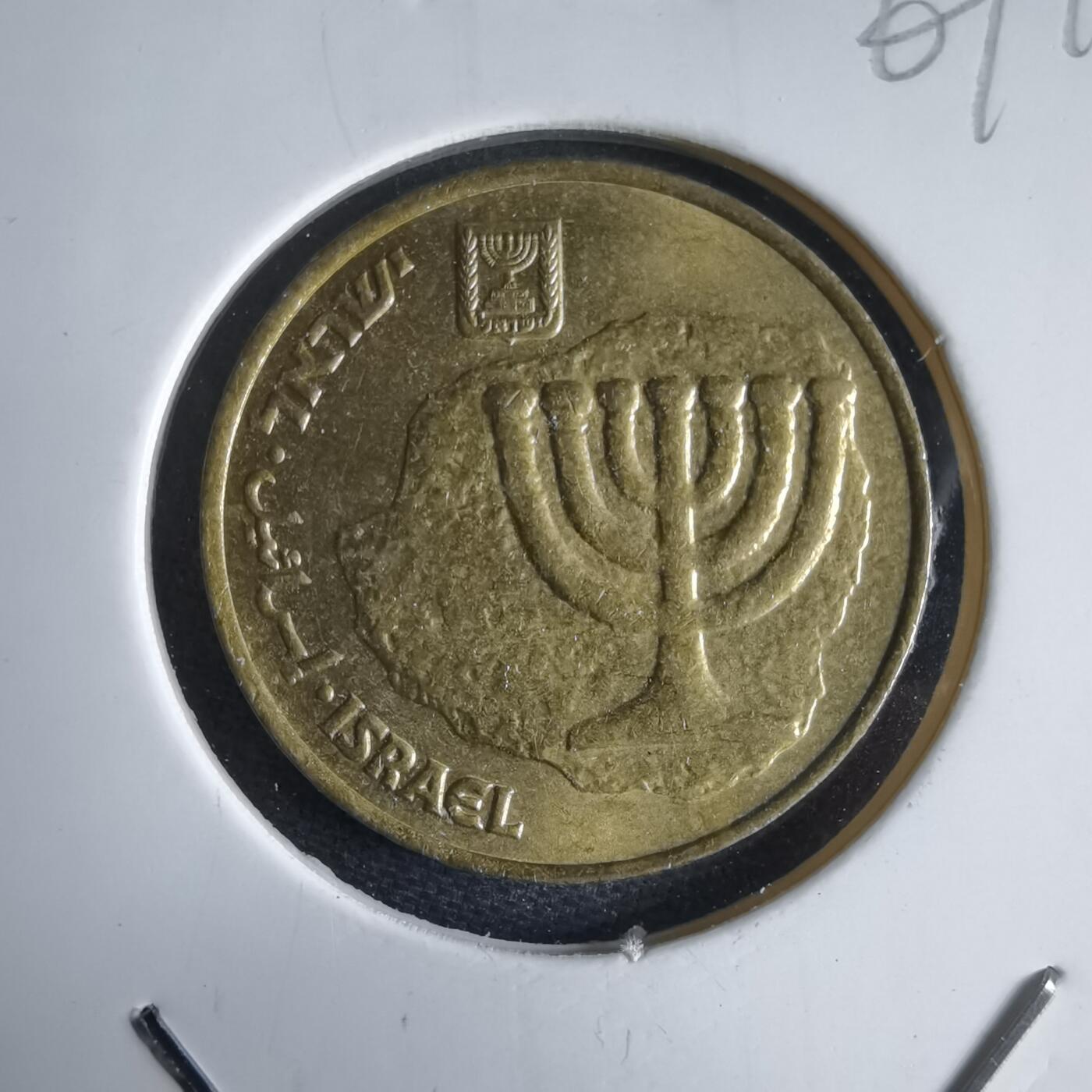 沼泽如烟--第969场