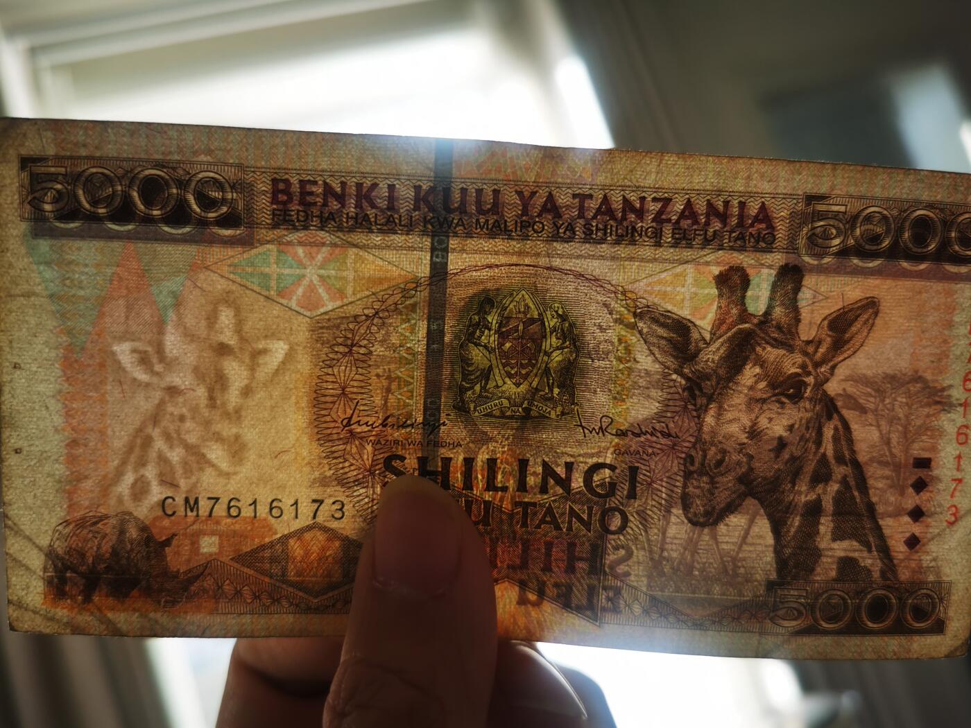 零零发流通品外国纸币拍卖 无佣金 坦桑尼亚5000针眼