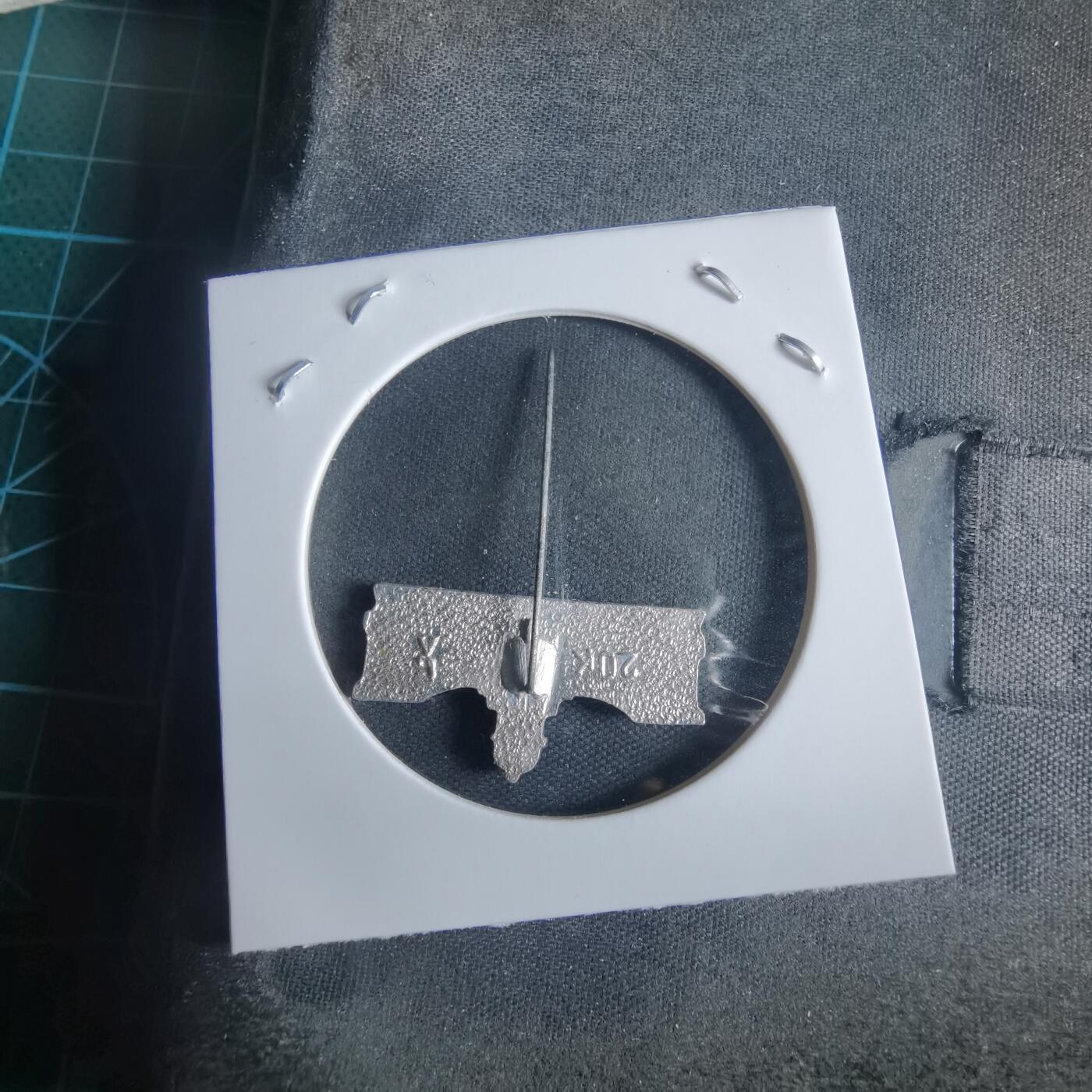 沼泽如烟--第970场 胸针？