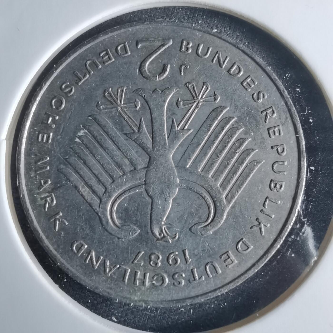 沼泽如烟--第970场