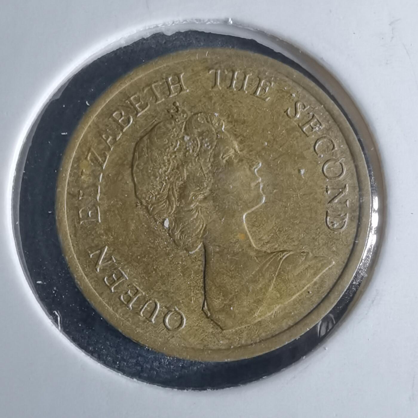 沼泽如烟--第970场 香港1982年一毫